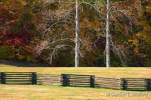 Split Rail Fence & Two Trees_24697.jpg - Photographed along the Natchez Trace Parkway in Tennessee, USA. 
